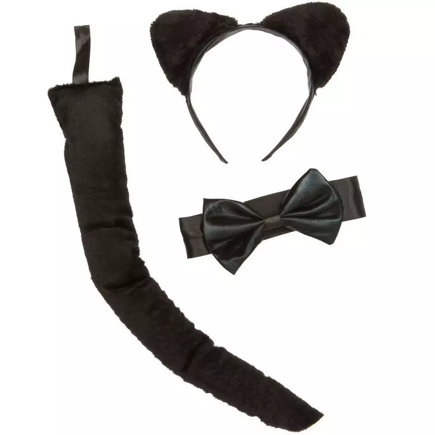Adult Cat Accessory Kit 4 Adult Cat Accessory Kit - Image 2
