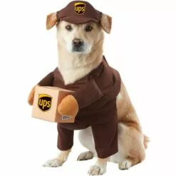UPS Driver Dog Costume