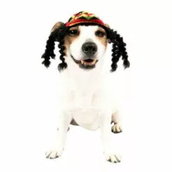 Rasta Dog Costume
