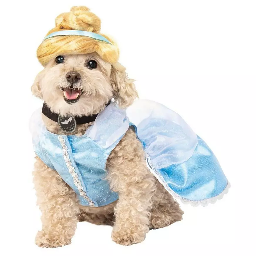 Cinderella Dog Costume 3 Cinderella Dog Costume