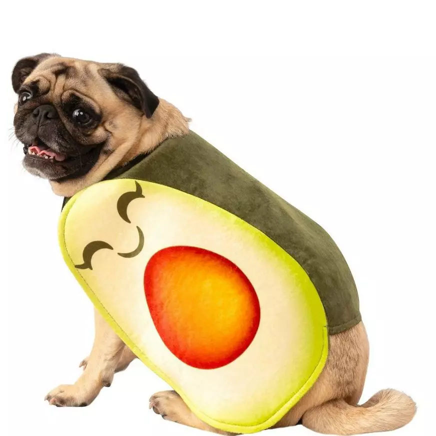 Avocado Dog Costume 3 Avocado Dog Costume