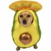 Avocado Sombrero Costume For Dogs 1 Avocado Sombrero Costume For Dogs -Amscan Shop P890643