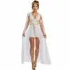 Adult Venus Goddess Costume