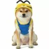 Stuart Minion Costume For Dogs - Minions