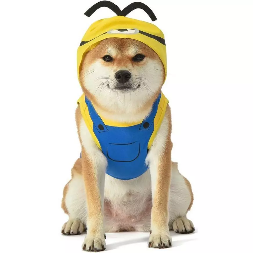 Stuart Minion Costume For Dogs - Minions 3 Stuart Minion Costume For Dogs - Minions