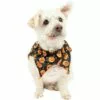 Black & Orange Jack-o'-Lantern Dog Scrunchie Collar 1 Black & Orange Jack-o'-Lantern Dog Scrunchie Collar -Amscan Shop P943160