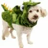 Green Dragon Dog Costume 1 Green Dragon Dog Costume -Amscan Shop P943208